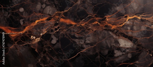 A closeup of a terrestrial plant resembling black marble with striking orange veins, resembling the patterns of a landscape painting photo