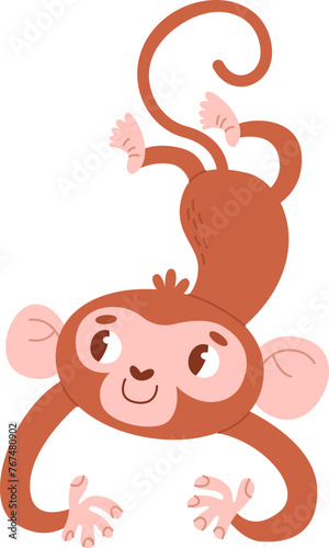 Monkey Animal In Funny Pose