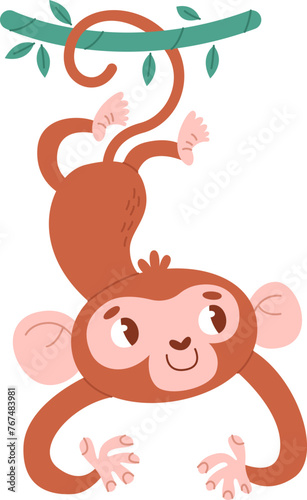 Monkey Hanging On Liana