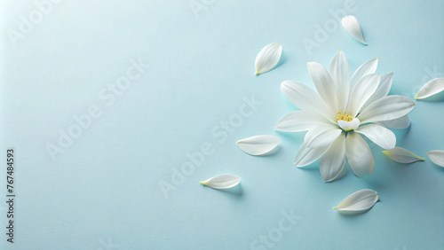 White Flowers on Blue Background: A Beautiful Spring Floral Arrangement © Uncle-Ice
