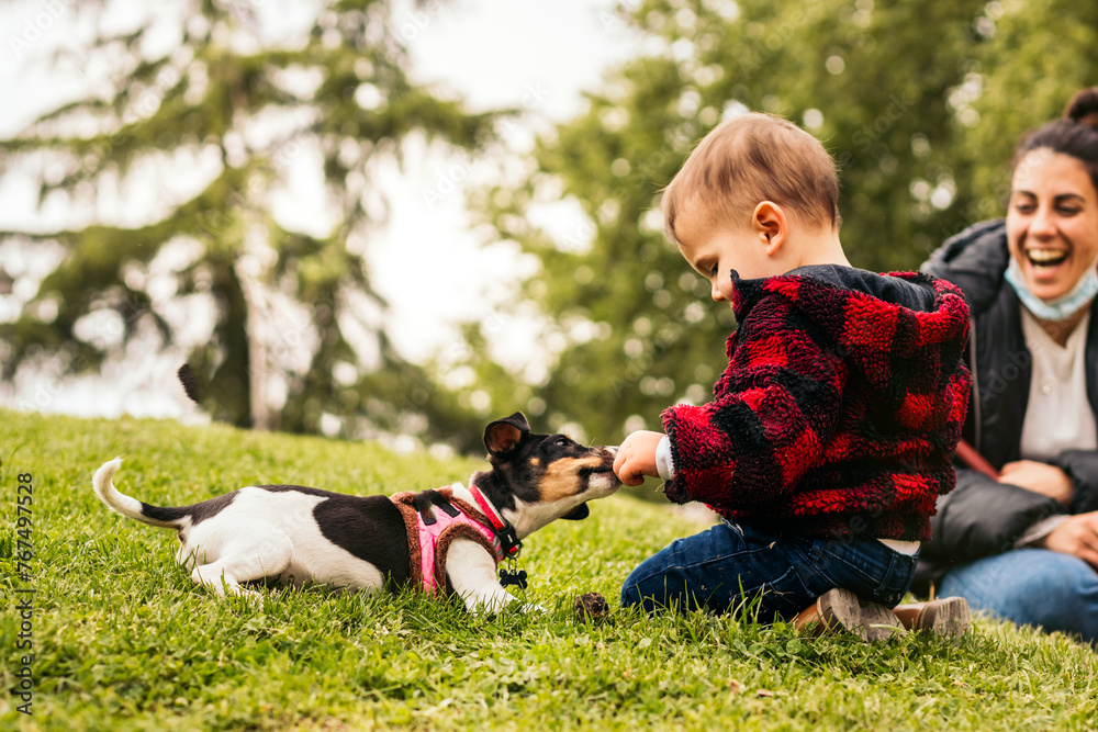 baby boy playing with a little dog in a park baby boy playing with a little dog in a park