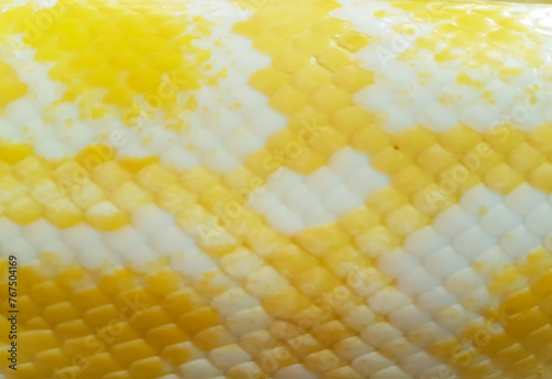 yellow snake skin texture, yellow leather snake skin