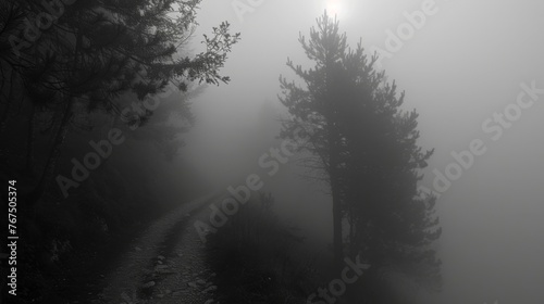 The dense fog casts a shroud of mystery and uncertainty concealing the path ahead for those struggling to find their way.