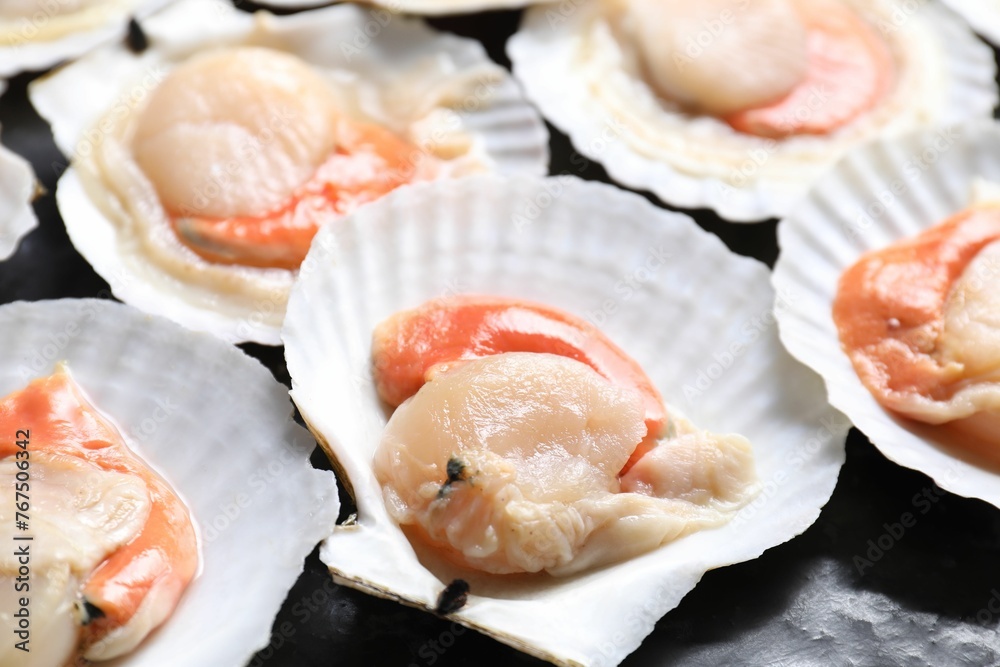 Fresh raw scallops with shells on black textured table, closeup Fresh raw scallops with shells on black textured table, closeup