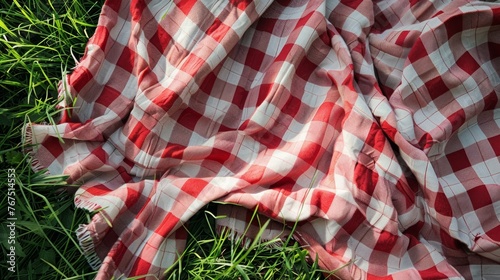 red and white checkered picnic blanket spread out on a patch of green grass 