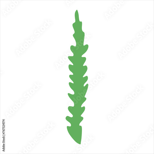 Algae plant abstract vector element