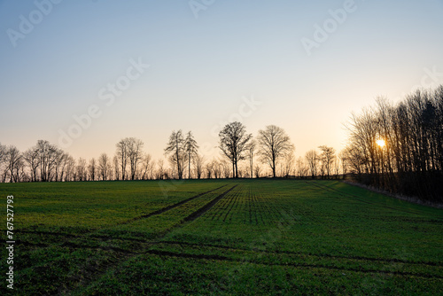 sunrise over a field in autumn