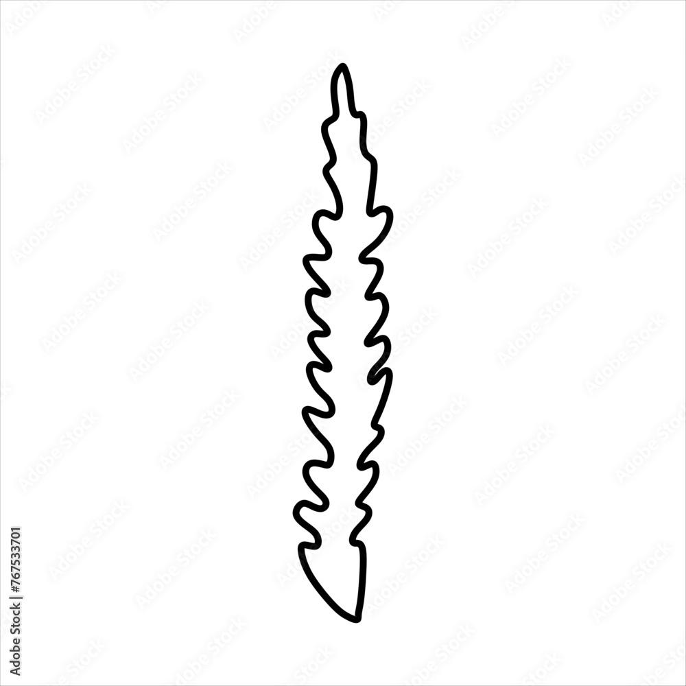 Outline Algae Plant Abstract Vector Element Outline Algae Plant Abstract Vector Element
