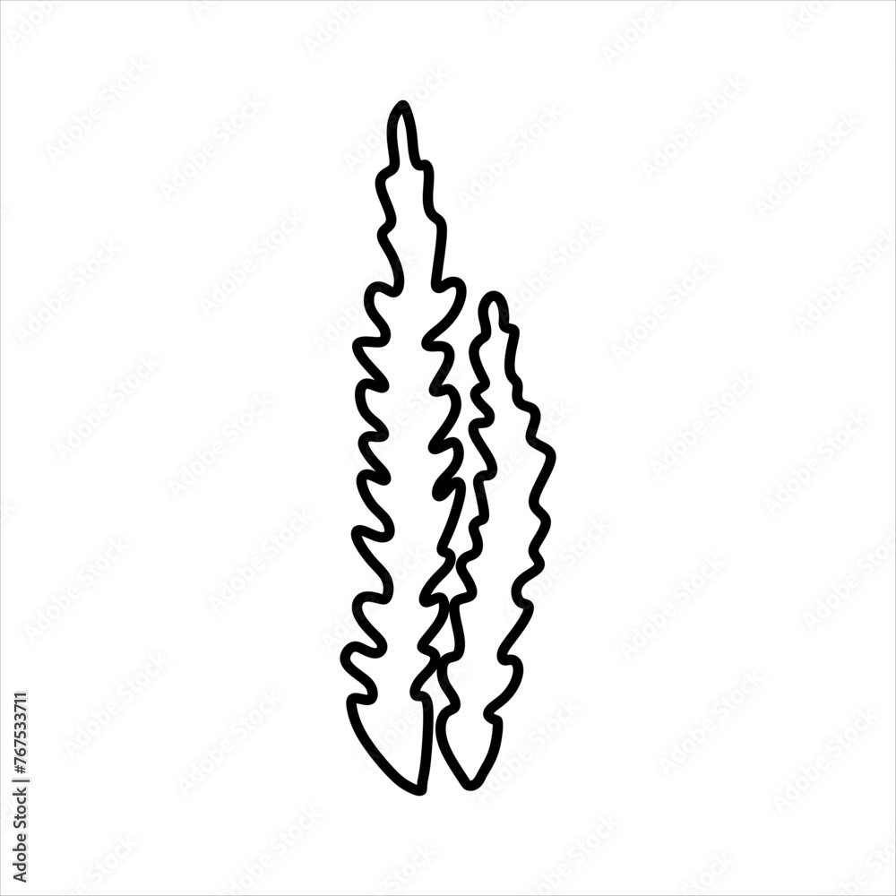 Outline Algae Plant Abstract Vector Element Outline Algae Plant Abstract Vector Element