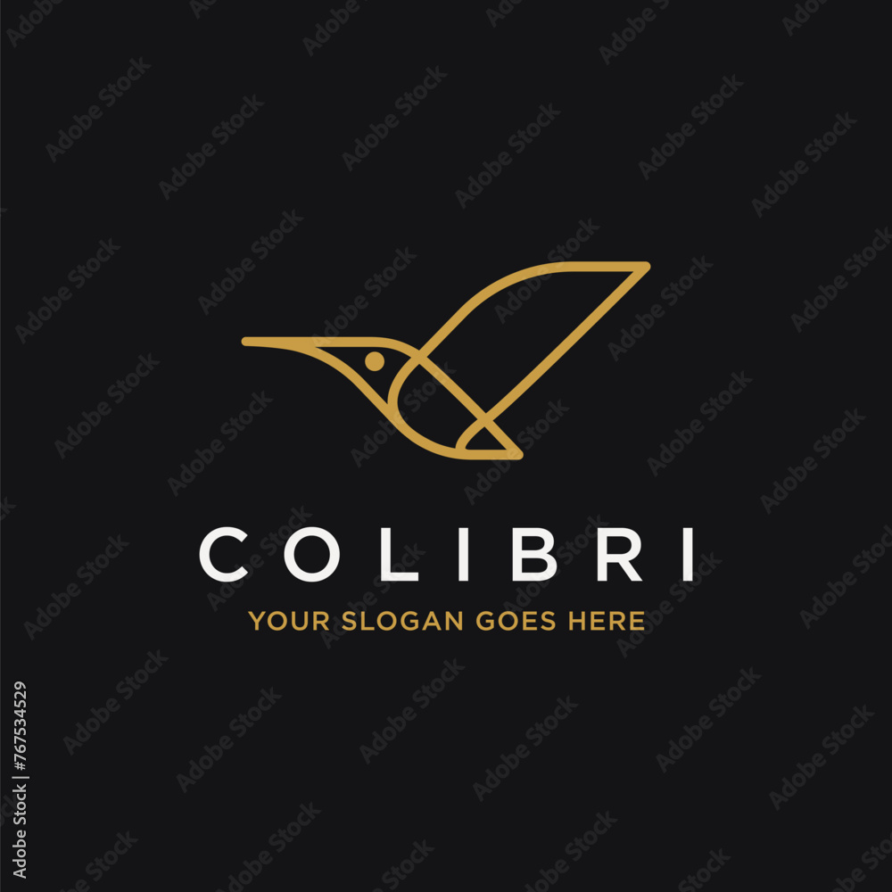 Line art, geometric colibri logo icon vector template on black background