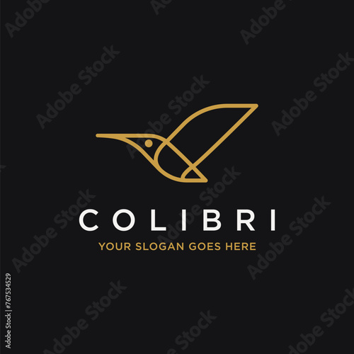 Line art, geometric colibri logo icon vector template on black background