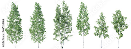 Isolated trees on transparent background.3d rendering PNG Set