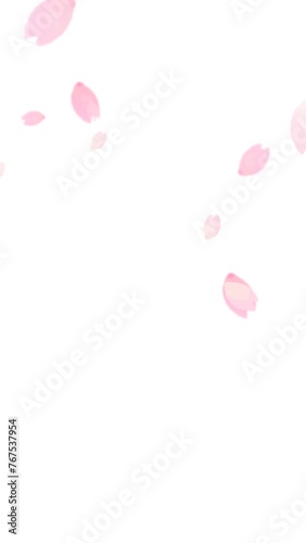 水彩手描きの和風桜の花びら縦型ループアニメーション（アルファチャンネル）	
