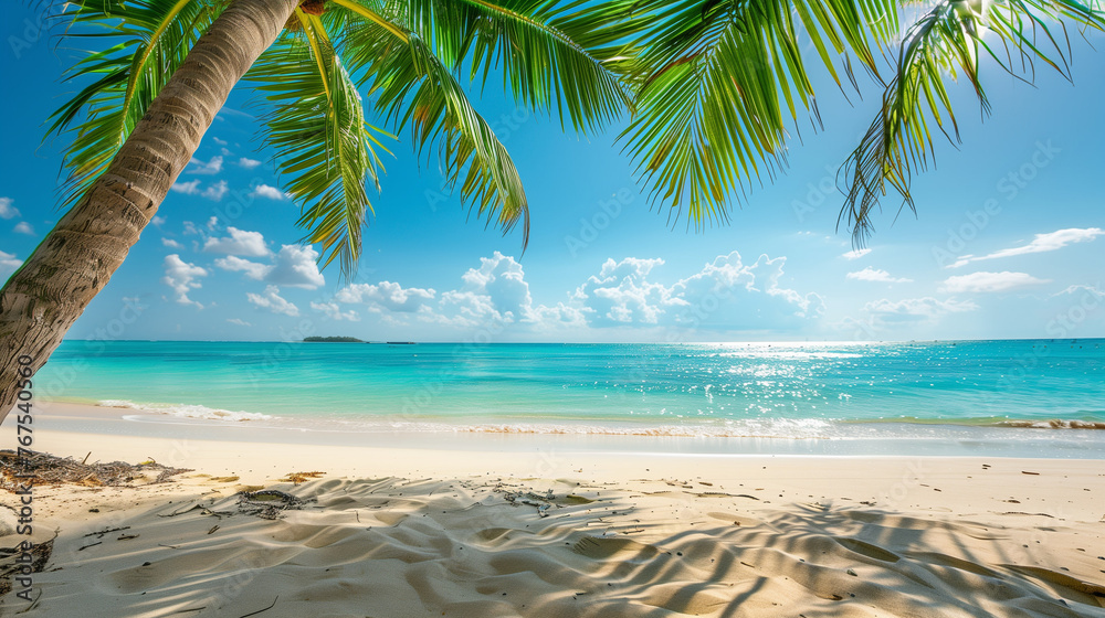 A solitary palm tree stands tall on a sandy beach, framed by the vast ocean in the background, creating a peaceful and tranquil scene