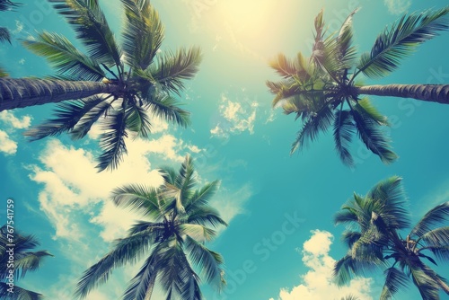 Palms against blue sky, upward perspective © InfiniteStudio