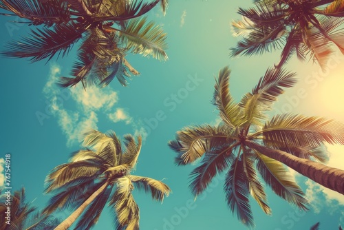 Palms against blue sky, upward perspective