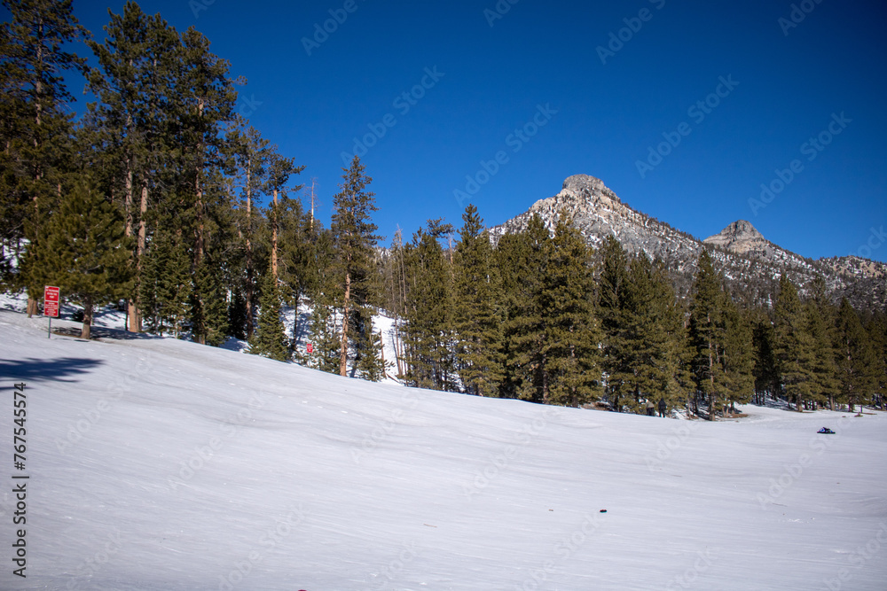 Scenic Winter Mountain View