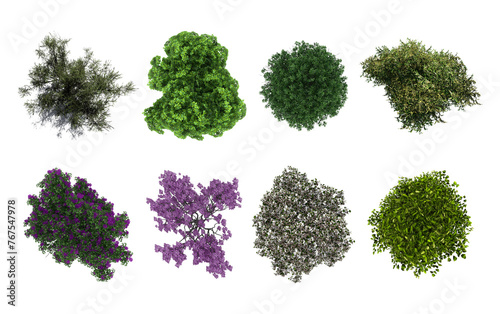 Plant & Tree overhead / top view isolated on white background perfect use for colour floor plans as symbols and icons