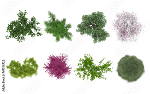 Plant & Tree overhead / top view isolated on white background perfect use for colour floor plans as symbols and icons photo