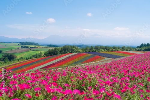 北海道の夏