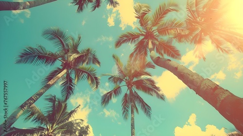  Palm trees background Free Photo  © Arshad