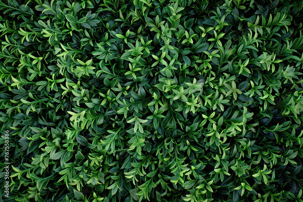 Green grass background, football field Green grass background, football field