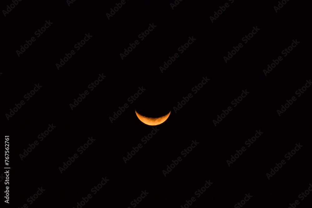 moon, night, sky, space, halloween, dark, black moon, night, sky, space, halloween, dark, black