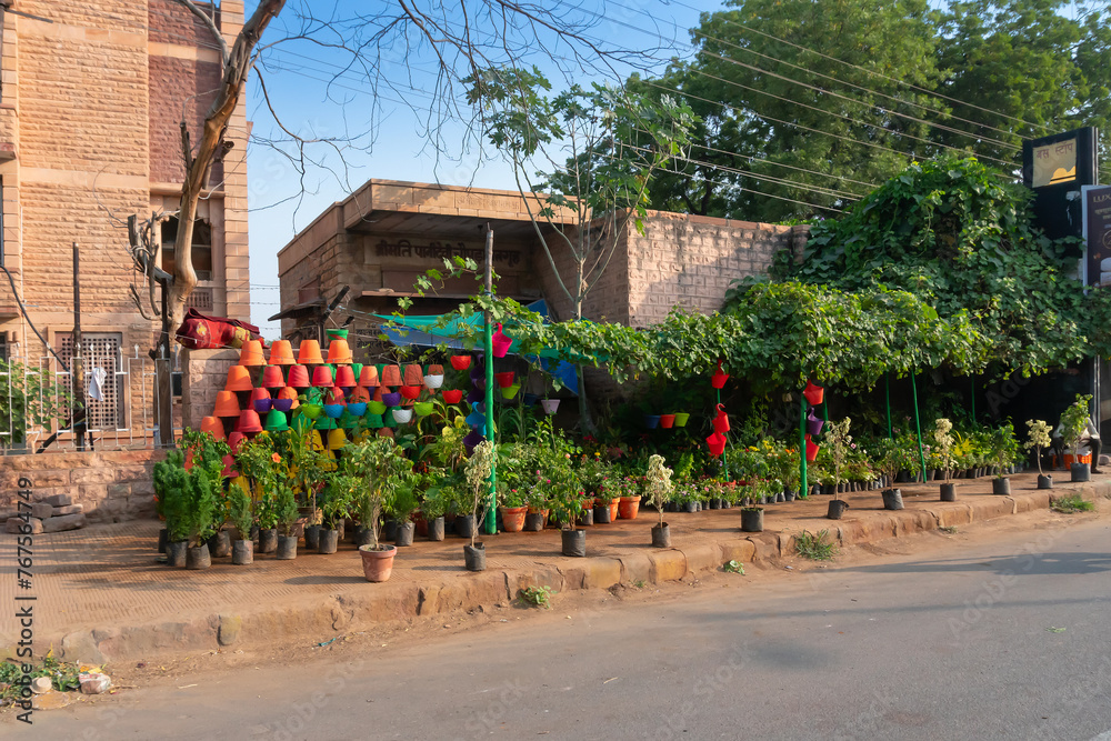 Jodhpur, Rajasthan, India - 15.10.2019 : Plants and flowers are being displayed beside road for sale.