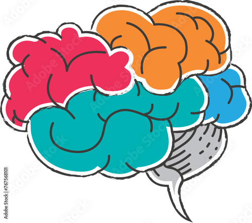 Human brain