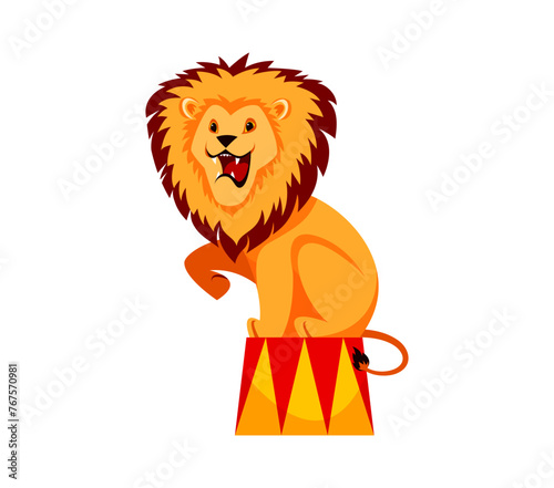 Cartoon shapito circus lion animal regally sitting on big top ring, perform carnival show. Isolated vector majestic lion roar, captivates audience with calm yet powerful presence and untamed strength