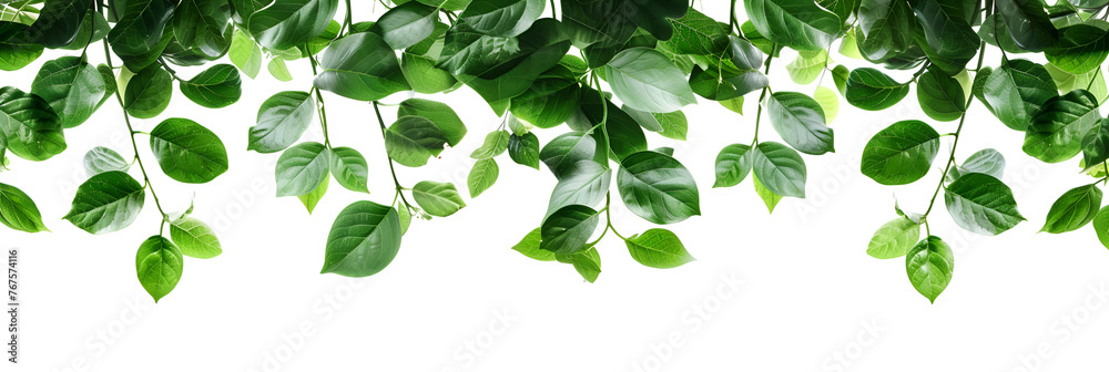 Green leaves background.  generative ai 