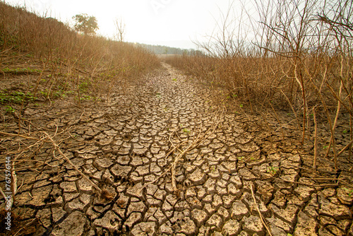 parched landscape with mud-cracked earth and a drying river, climate change impacts, including long-term droughts affecting ecosystem, illustrating the harsh reality of water scarcity.