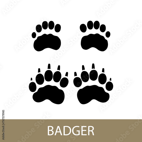 Trace of forest animal European badger, Eurasian badger footprint, vector illustration