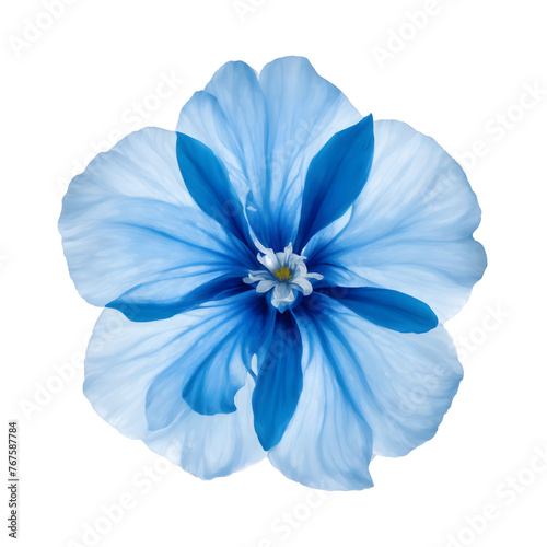 Beautiful blue flower on transparent background © SubrotoBasak