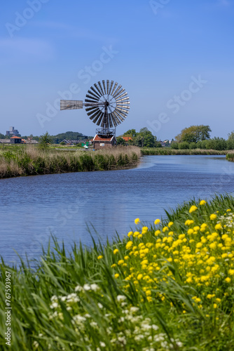 Historic small windmill by the canal and wildflower path in the Netherlands.