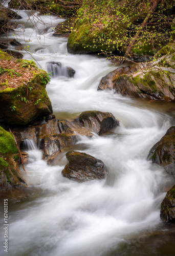 Mountain stream flowing through the rocks in spring forest. Long exposure