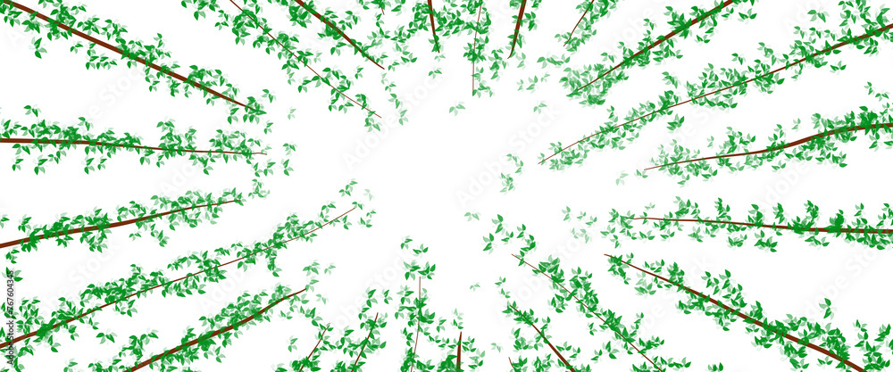pine tree illustration png. suitable for clip art, banners, backgrounds, wallpapers pine tree illustration png. suitable for clip art, banners, backgrounds, wallpapers