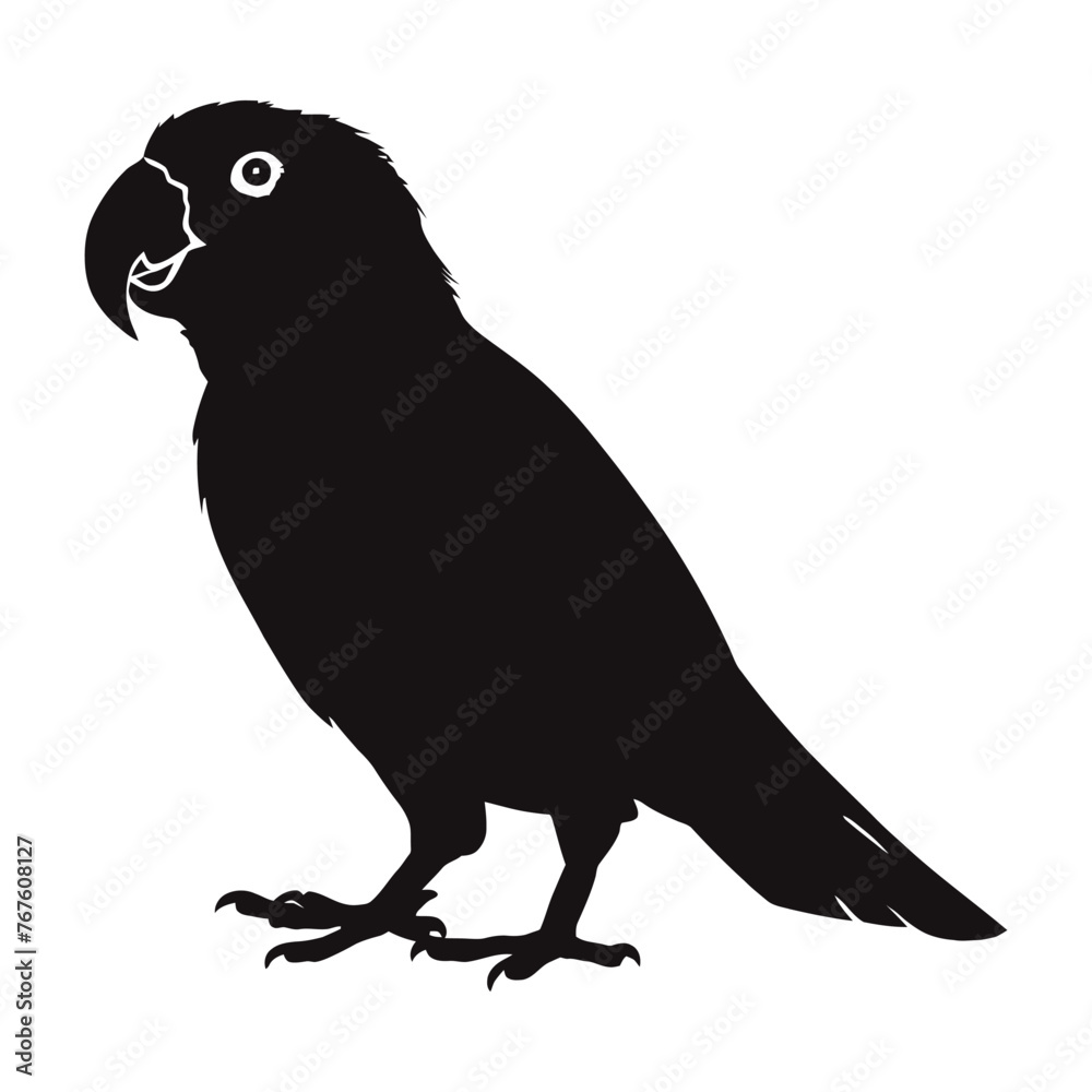 Fototapeta premium Eclectus Parrot Silhouette