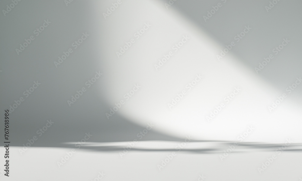 horizontal studio background with nature shadow horizontal studio background with nature shadow