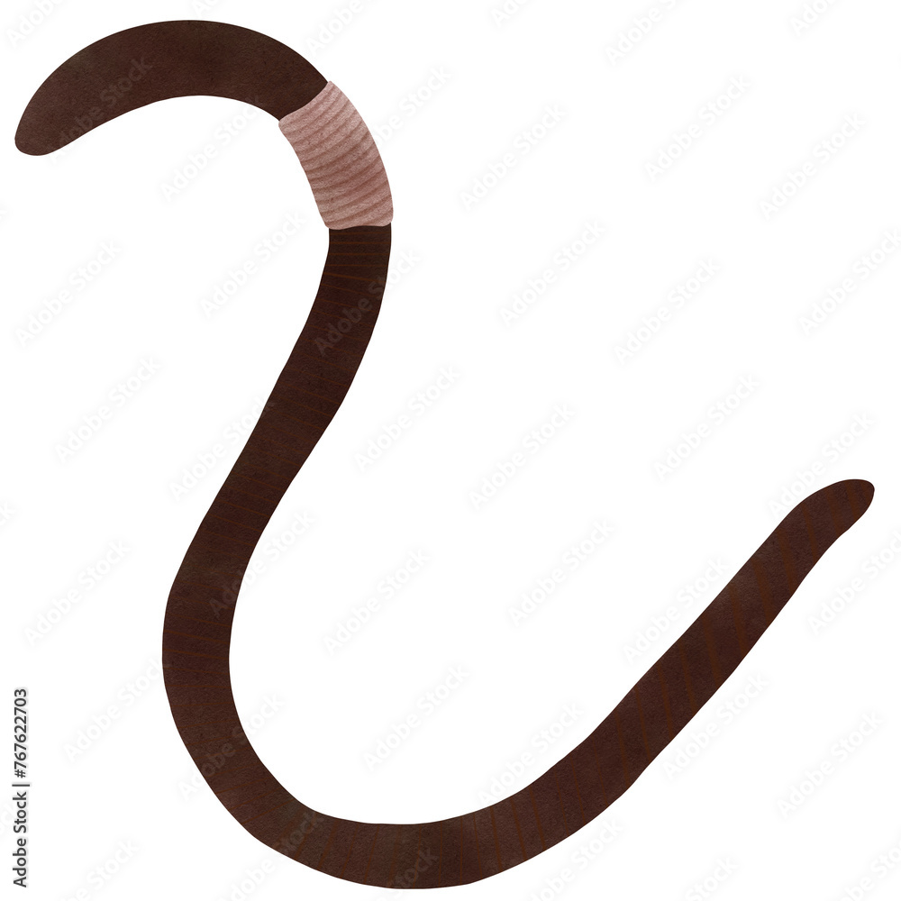 drawing of earthworm