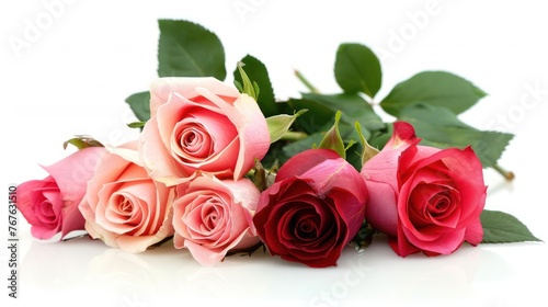 A romantic and fresh bouquet of beautiful pink and red roses lying down  with a clean white background enhancing their color and delicacy