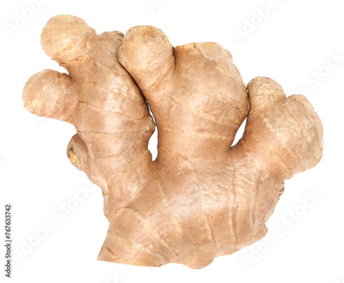 Close-up, Fresh ginger rhizome isolated, transparent PNG, PNG format, cut out