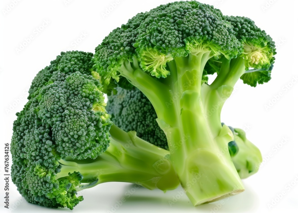 A large green broccoli head sits on a white background A large green broccoli head sits on a white background