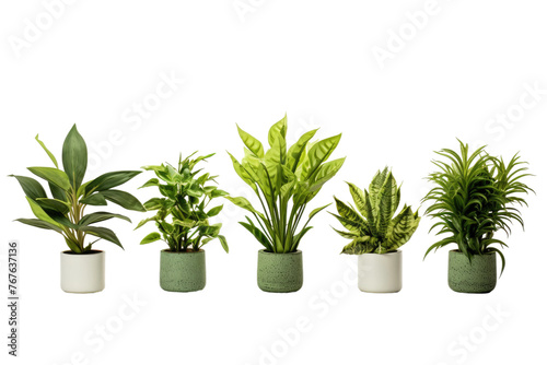 Towering Greenery: A Whimsical Assemblage of Stacked Potted Plants. On White or PNG Transparent Background.