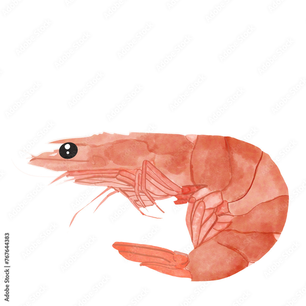 sea ​​animal drawings