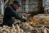 Рабочий ортирует грибы на производстве