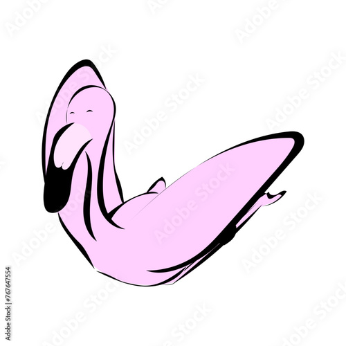 Flamingo