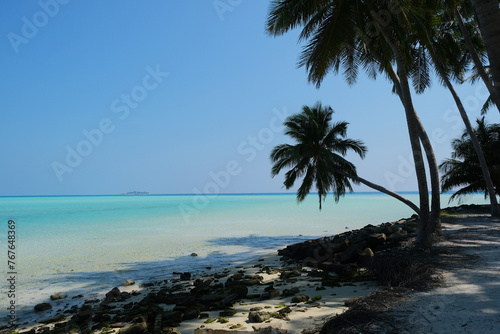 Mathiveri is one of the westernmost islands in the Maldives, beautiful beach scene with coconut trees.