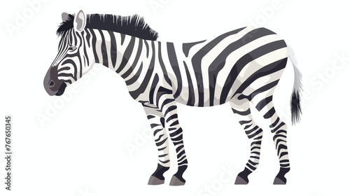Zebra illustration design and vector Flat vector 