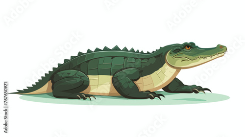 Alligator isolated on white background flat vector